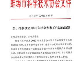 热烈祝贺蚌埠市信息技术协会驻蚌埠诚信计算机科技有限公司专家工作站获批