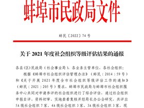 热烈祝贺蚌埠市信息技术协会荣获3A级社会组织称号